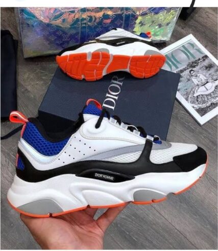 Dior homie sneakers…