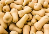 Butternut fresh from farm wholesale